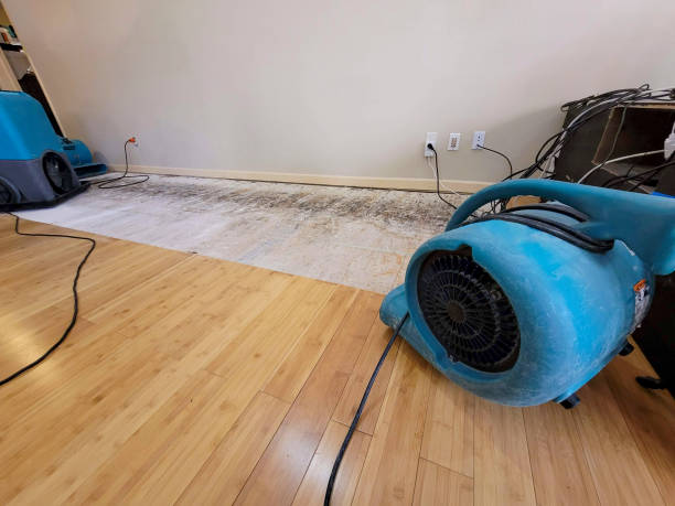 Professional Basement Flood Cleanup technician working in Highland, AR